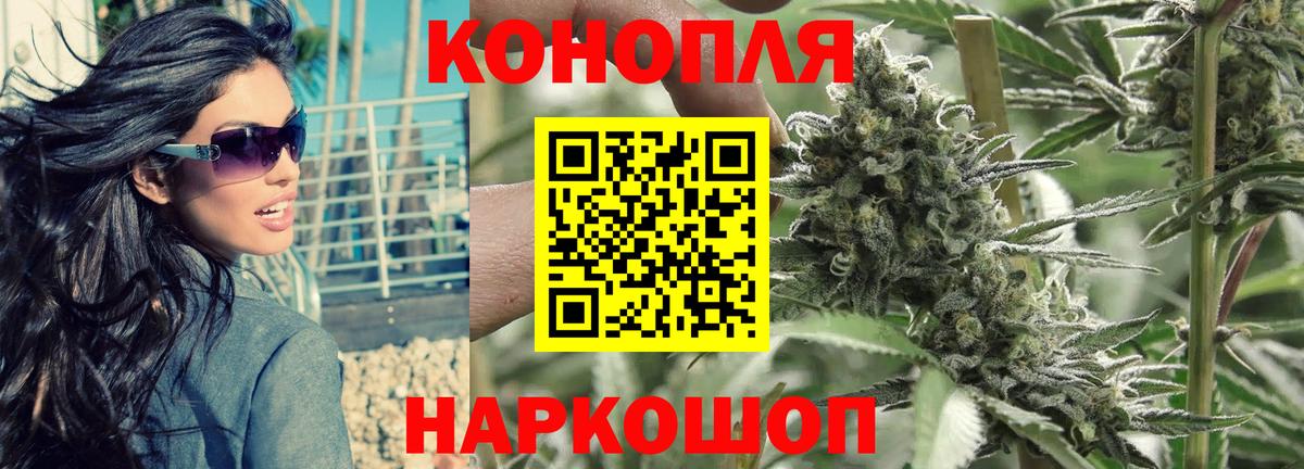 Марихуана сатива Тайшет
